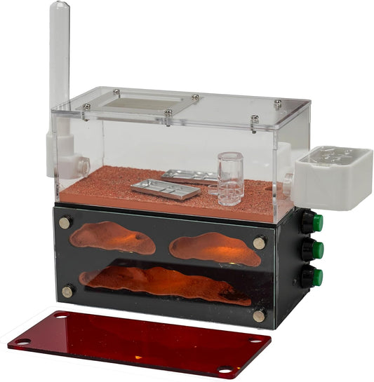 Lumen Series - Chamber