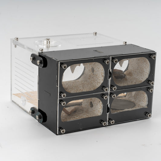 Strata Series - Four Chambers