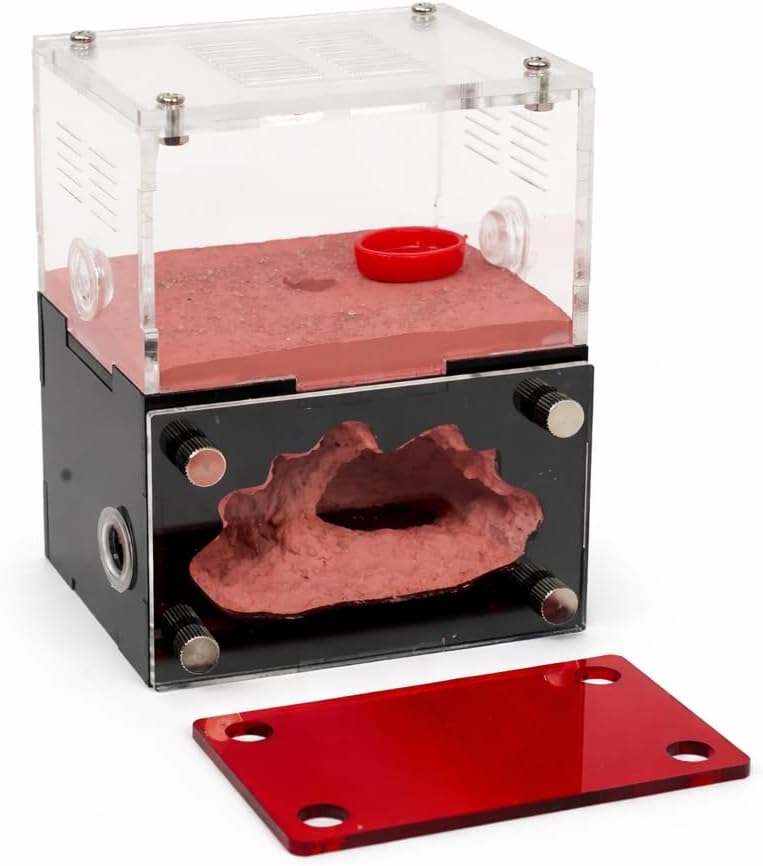CaveView Small-Ant Nest for New Queens and Small Colonies with Clear Outworld and Long Lasting Humidity System, Approx. 9 x 7 x 11 cm, 3.54 x 2.76 x 4.33 in, 12mm Expansion Port, Red Observation Cover