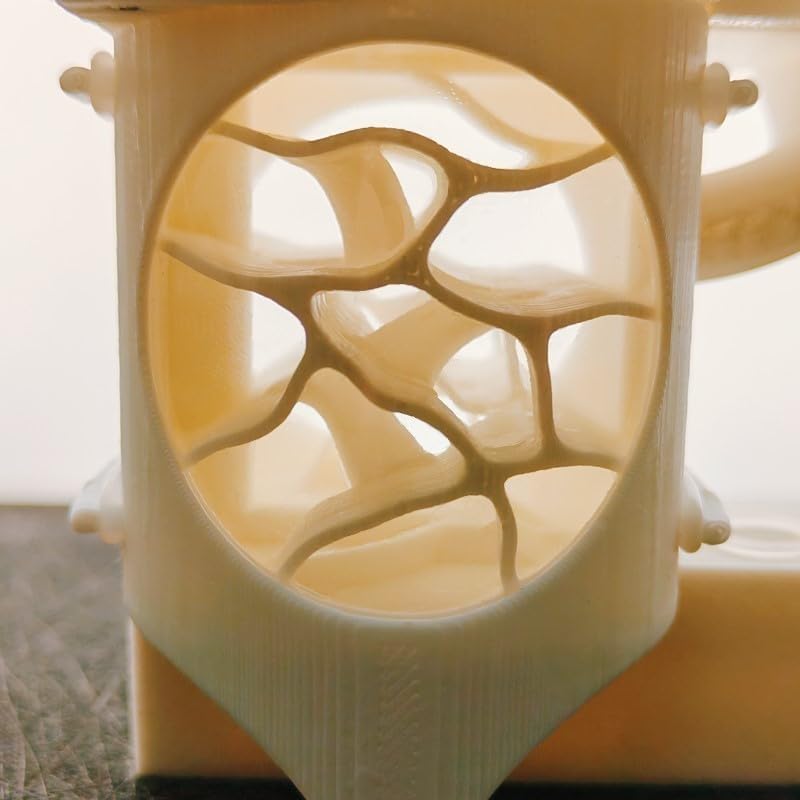 3D Printed Ant Nest – Three-Dimensional Design with 5mm Access Hole, Activity Zone for Observation and Feeding