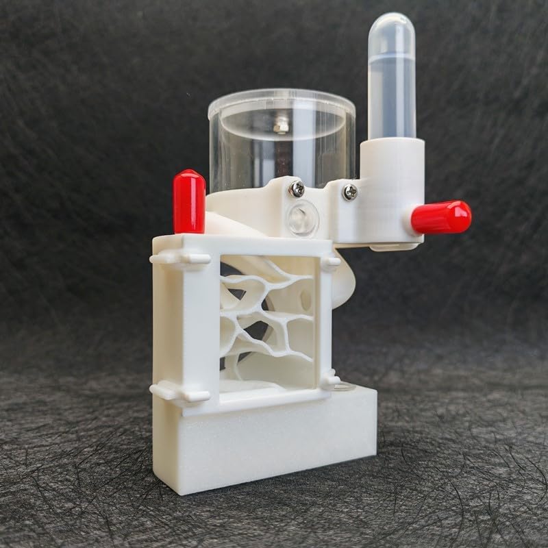 3D Printed Ant Nest – Three-Dimensional Design with 5mm Access Hole, Activity Zone for Observation and Feeding