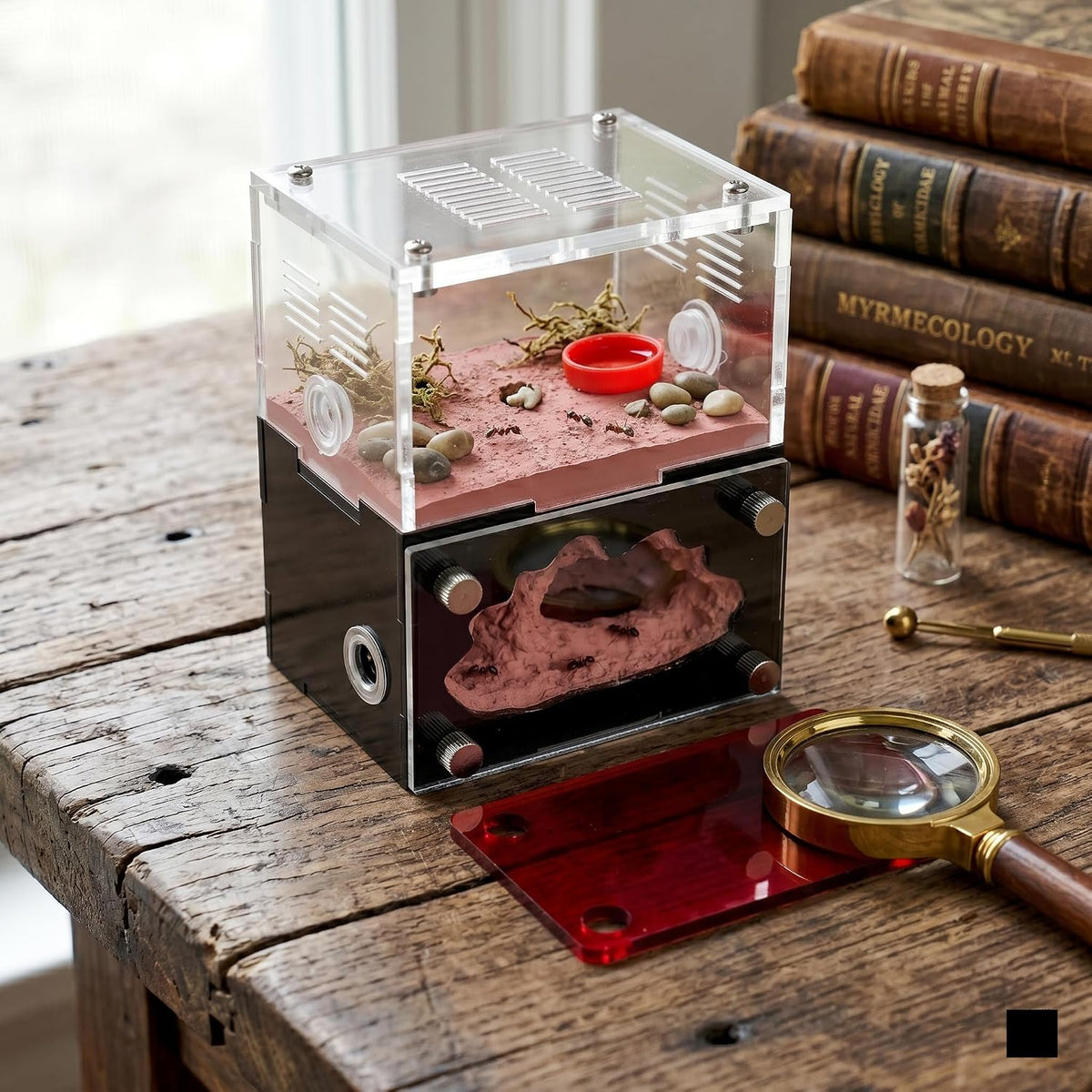 CaveView Small-Ant Nest for New Queens and Small Colonies with Clear Outworld and Long Lasting Humidity System, Approx. 9 x 7 x 11 cm, 3.54 x 2.76 x 4.33 in, 12mm Expansion Port, Red Observation Cover