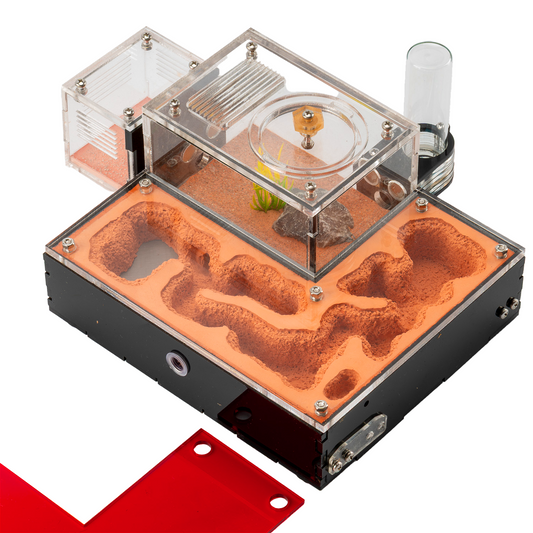 Terra Core - Small Progressive