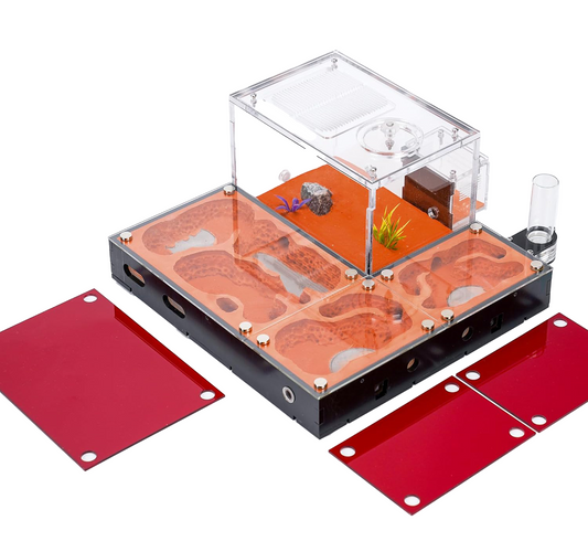 Terra Core Series- Progressive